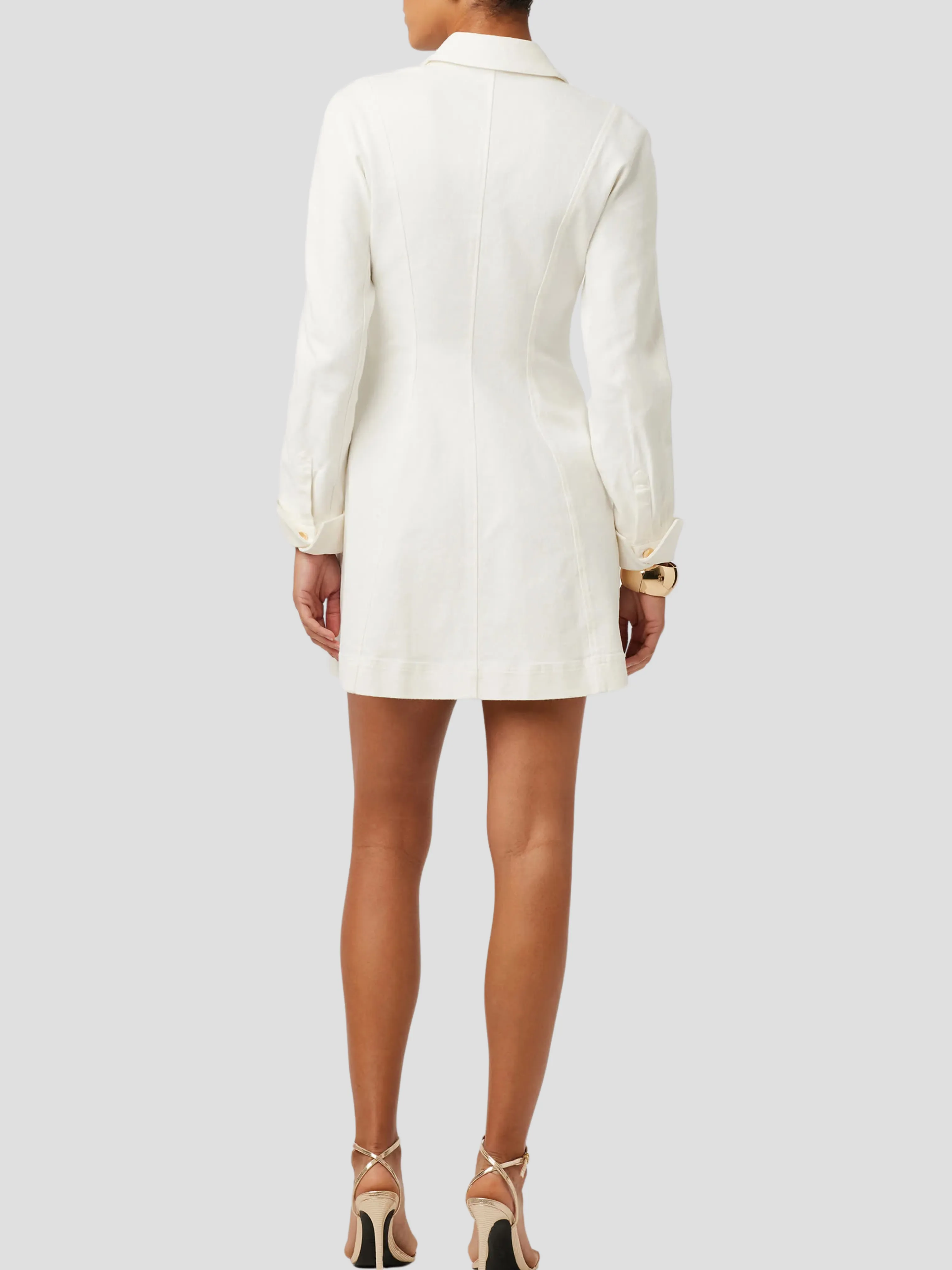 Alexa Denim Seamed Mini Dress