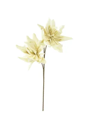Botanica #2446 (Pack of 6)