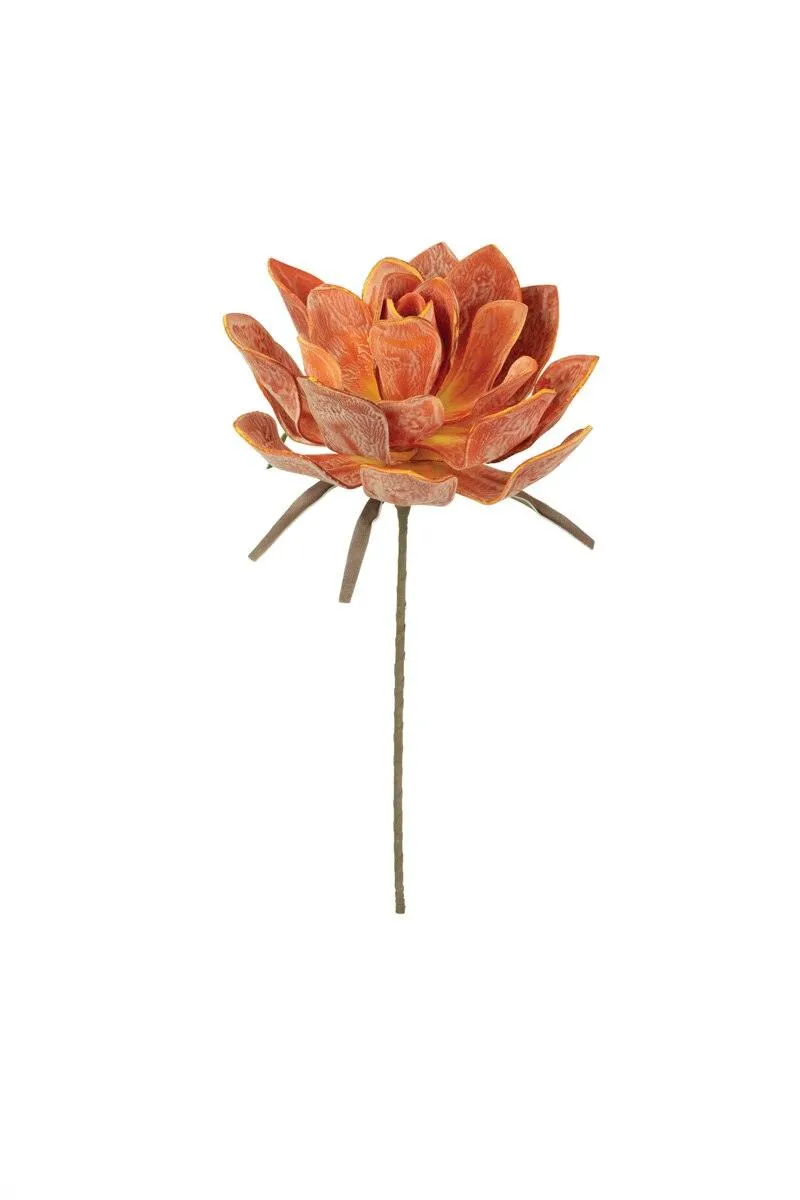 Botanica #2651 (Pack of 6)