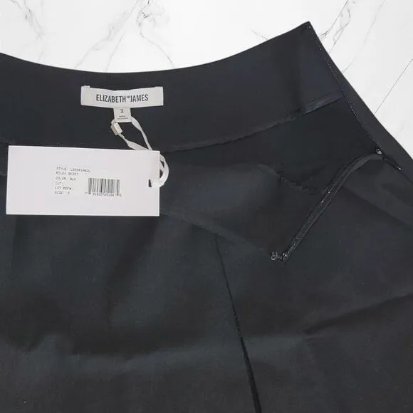 Elizabeth &amp; James Black Pleated Front Riley Mini Skirt