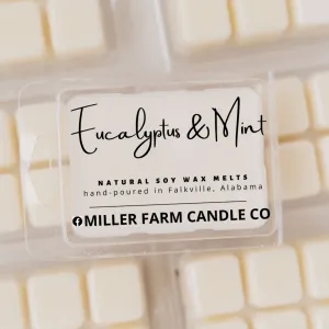 Eucalyptus & Mint Soy Wax Melts