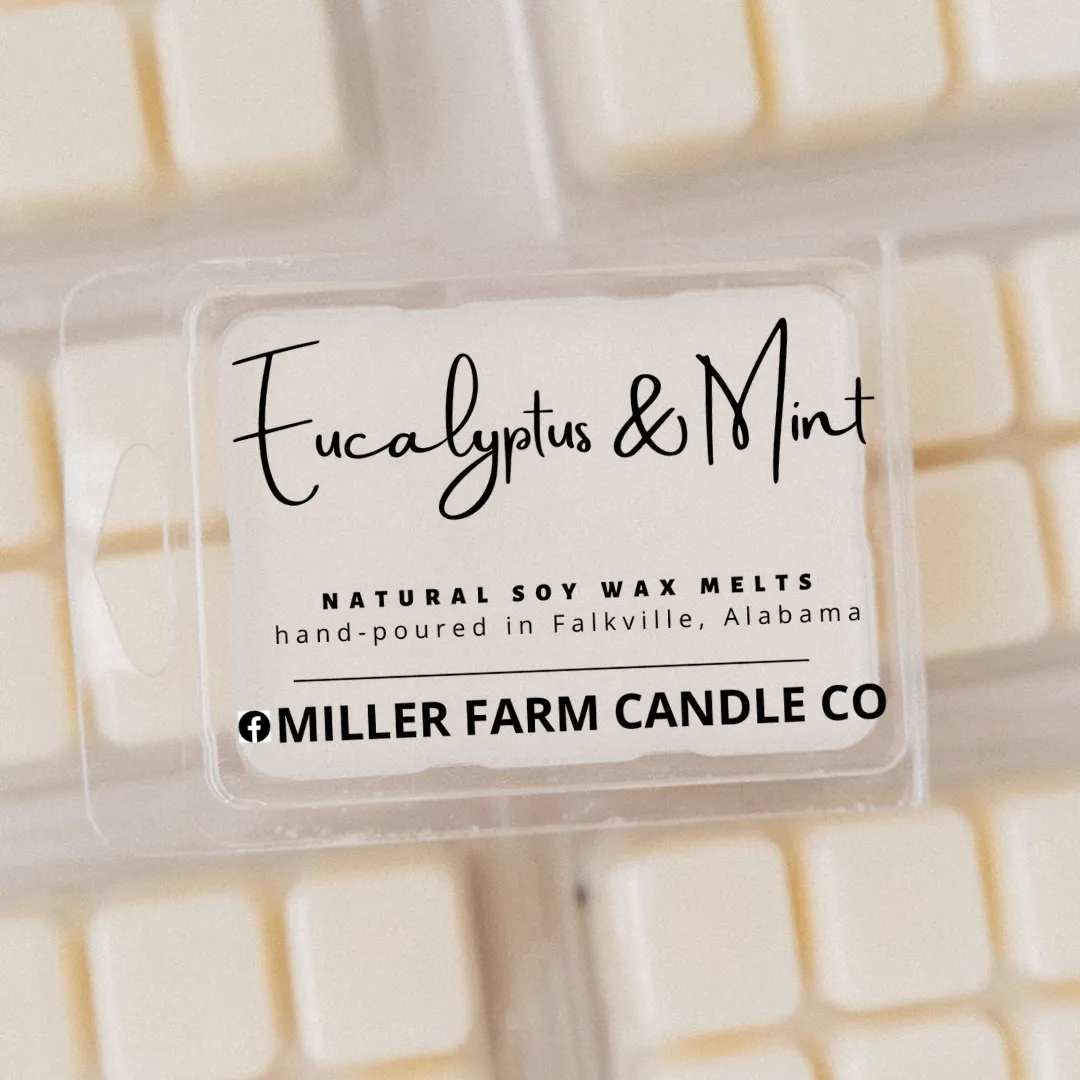 Eucalyptus & Mint Soy Wax Melts