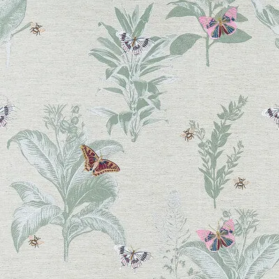 Monarch-Summer