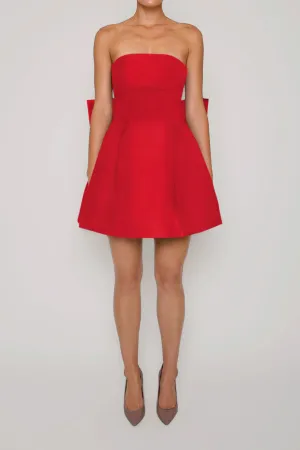 Paige Silk Faille Full Mini Dress