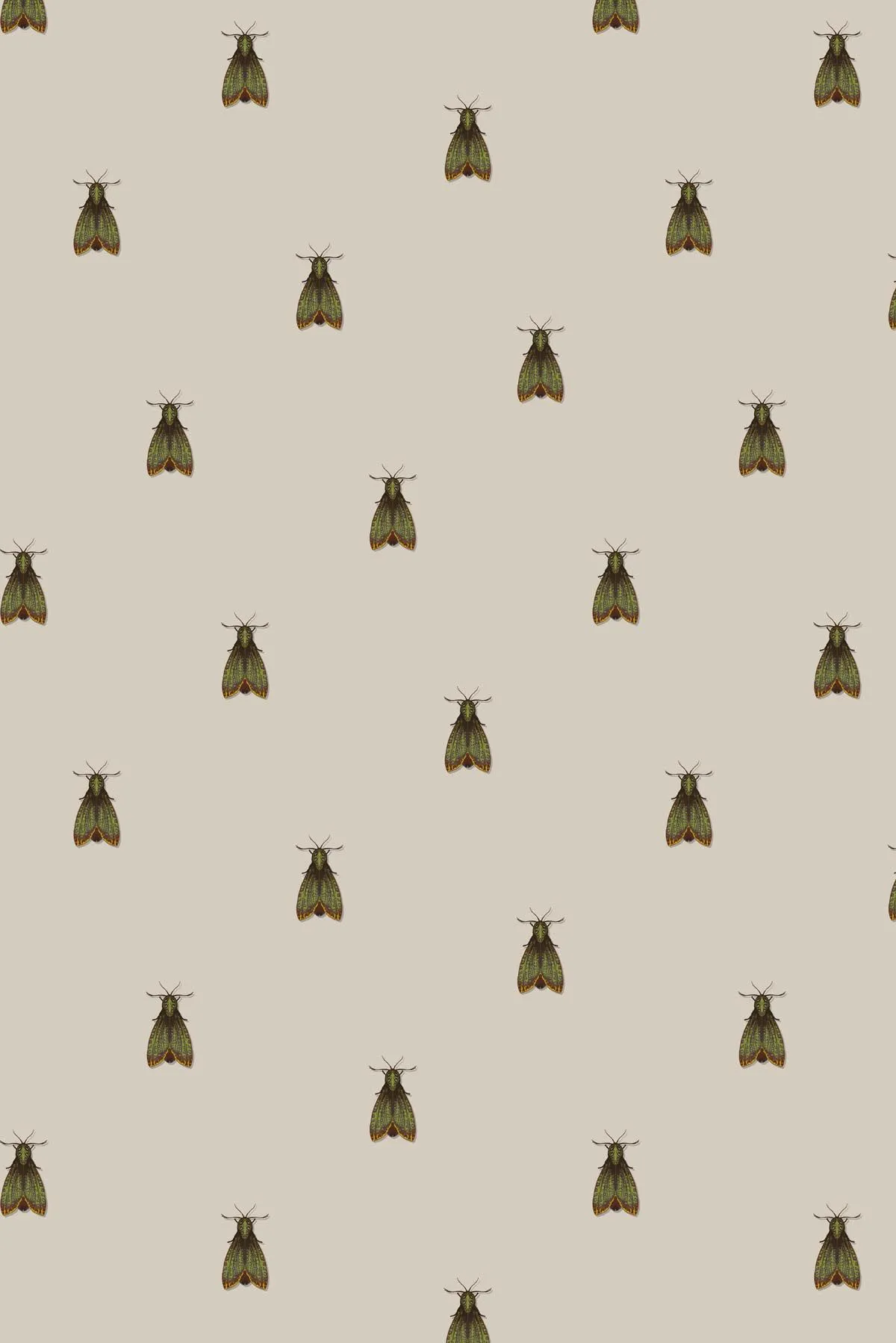 petit papillon de nuit fabric