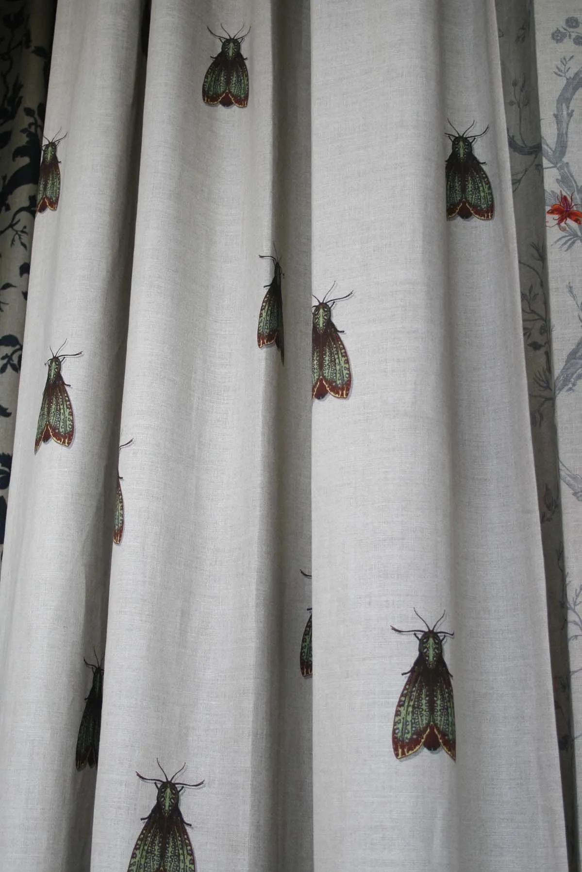 petit papillon de nuit fabric