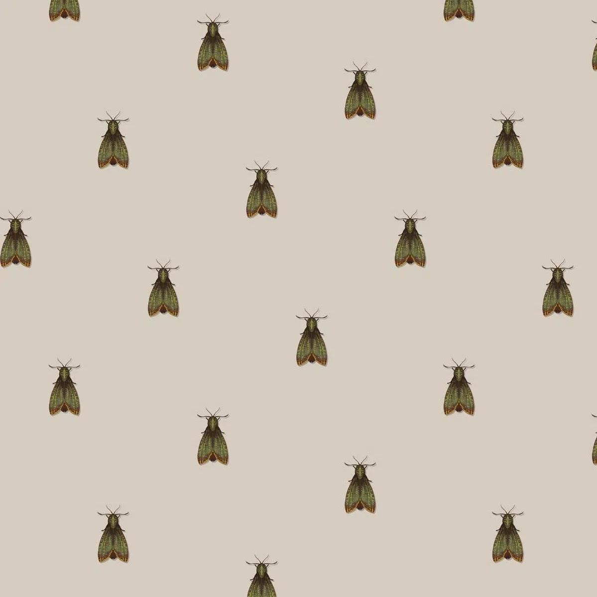 petit papillon de nuit fabric