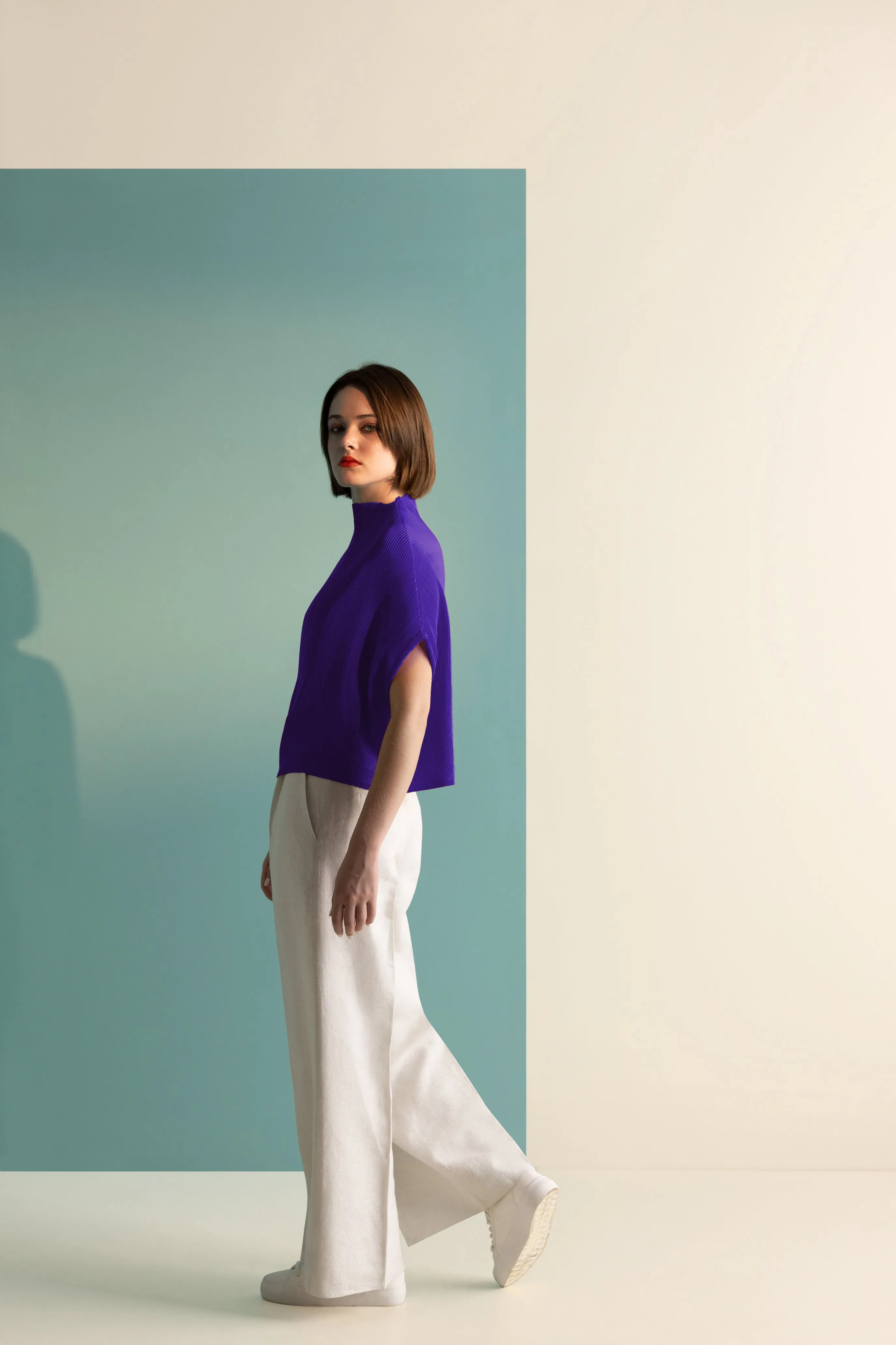 Pleated Box Top