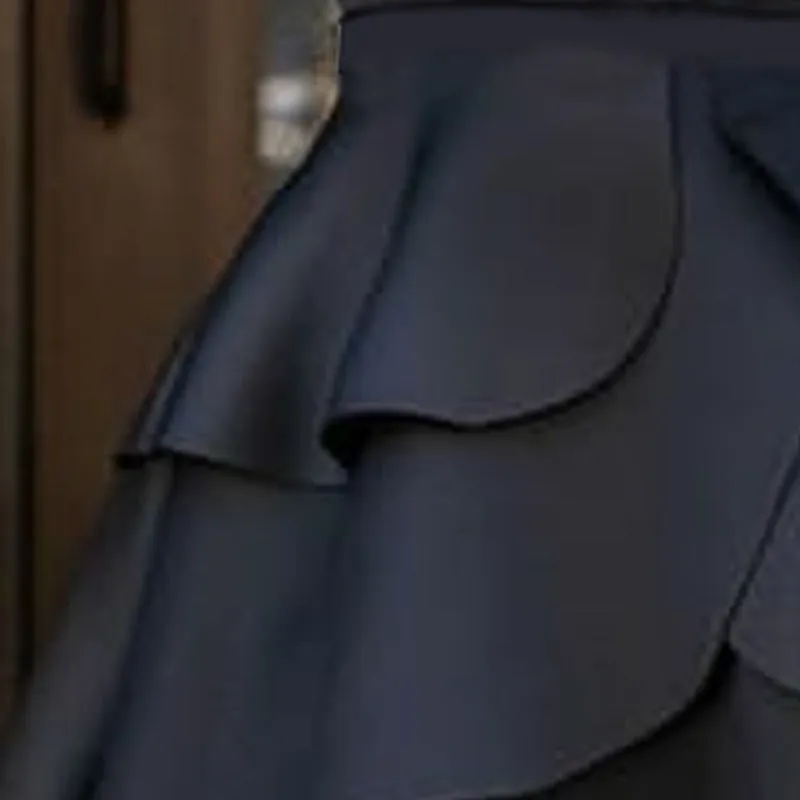 Pleated Cake Layer A-line skirt