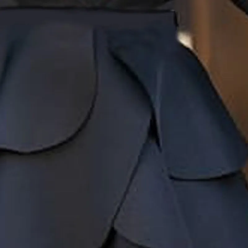 Pleated Cake Layer A-line skirt