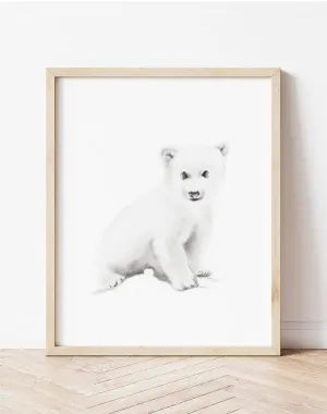 Polar Bear Pencil Drawing Print