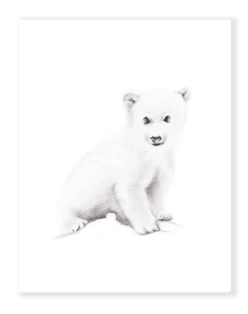 Polar Bear Pencil Drawing Print