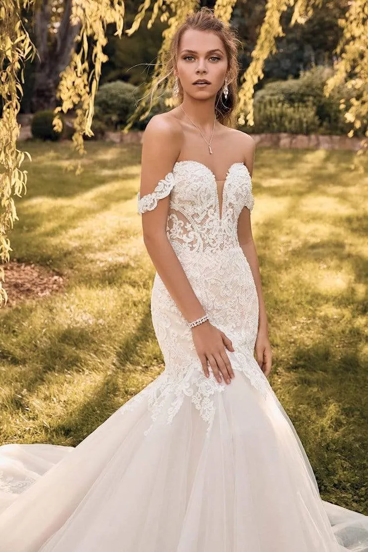 Sophia Tolli: Y22065 - London