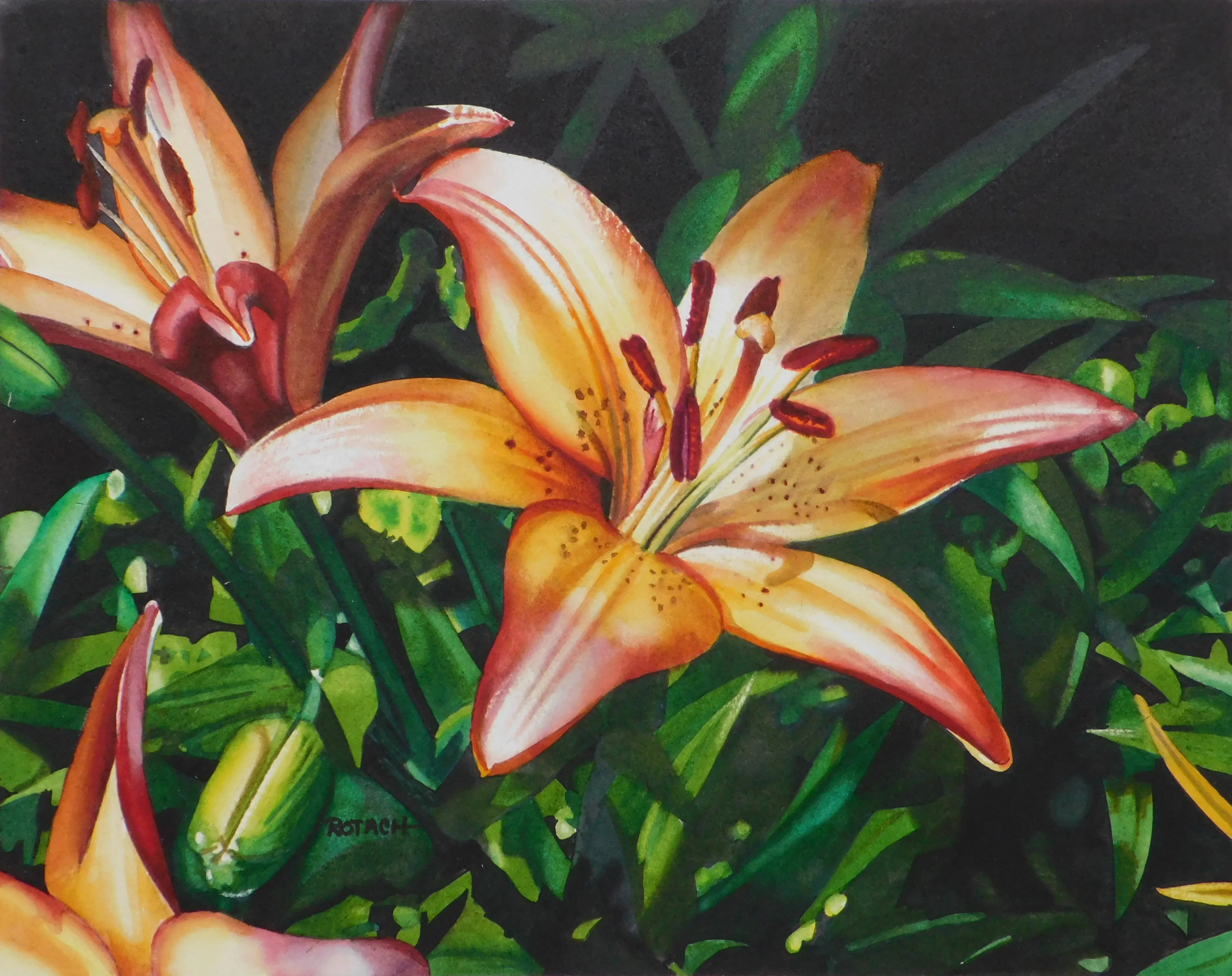 Summer Splendor