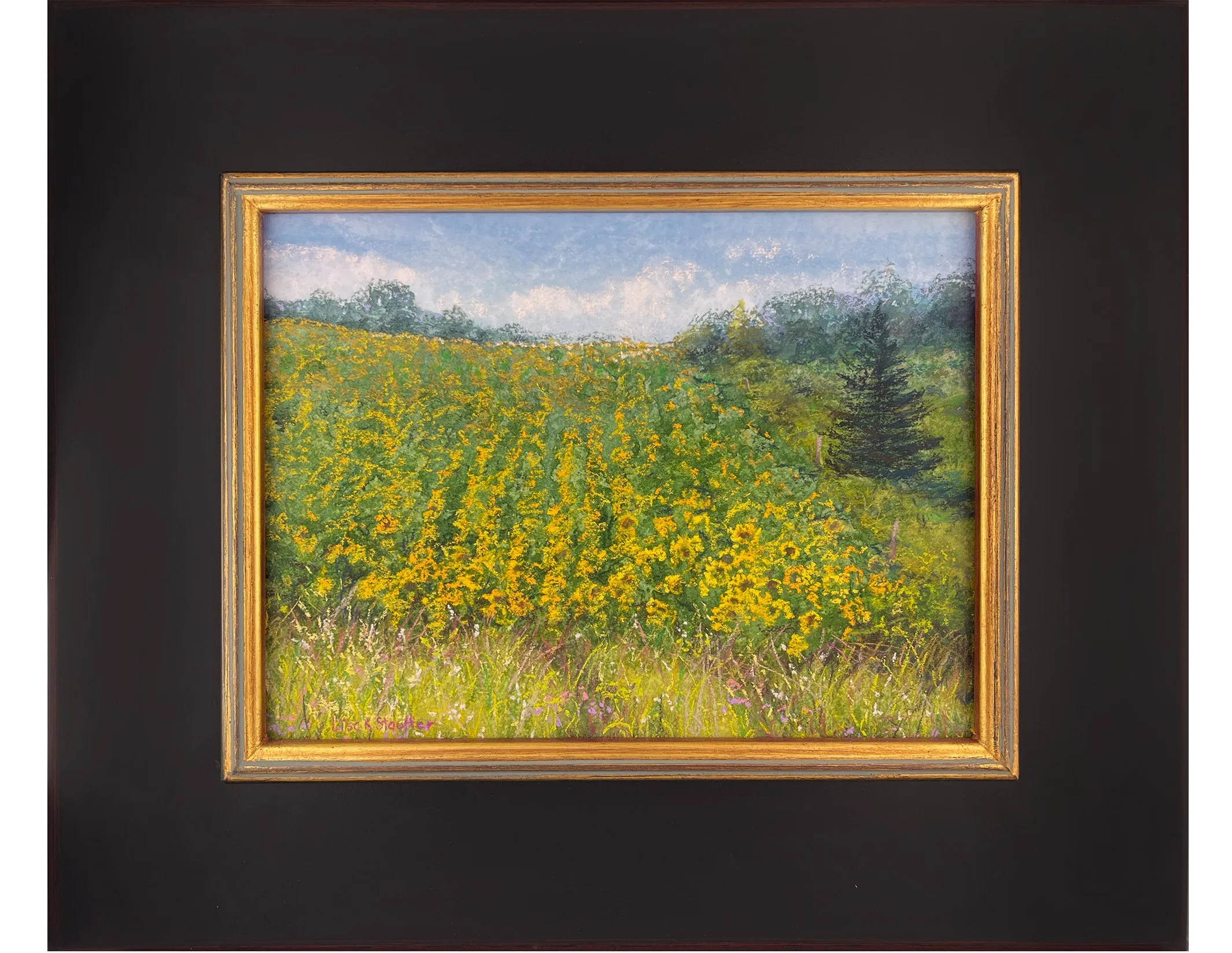 Summer Sunflowers