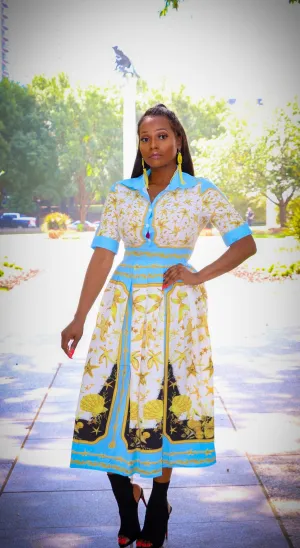 Talia Sky Blue White Multi Color Print Pleated Dress