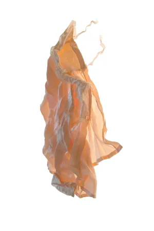 Vestiges (5)