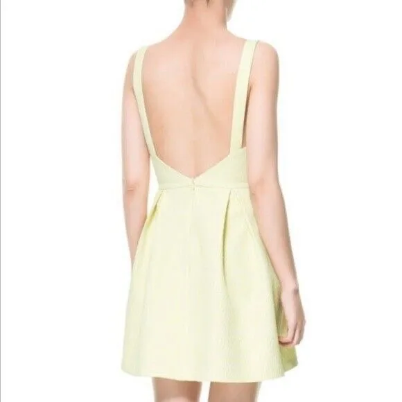 ZARA Leopard Jacquard Mini Dress